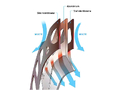Tarcza hamulca Shimano XTR 160mm Centerlock ICE TECHNOLOGIES 6.jpg